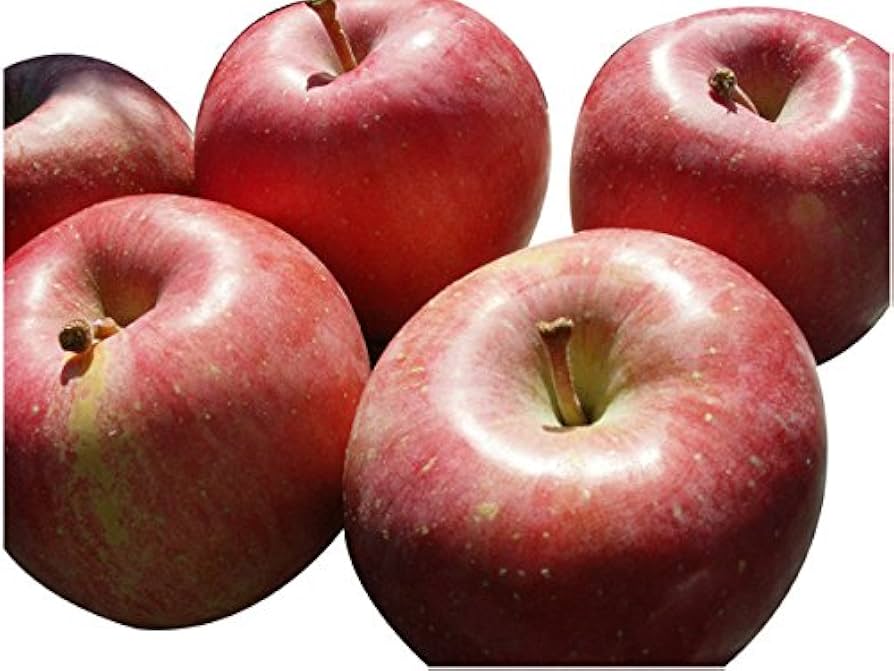 わけあり【B級品・ふじ・20kg（20キロ）用 木箱 サイズ ダンボール 詰 Amazon.co.jp: わけあり 青森県産りんご B級品 ふじ 20kg（20
